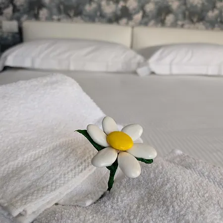 Apartment Primo Piano *