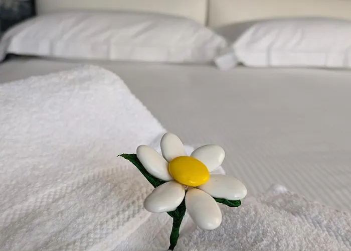 Apartamento Primo Piano *